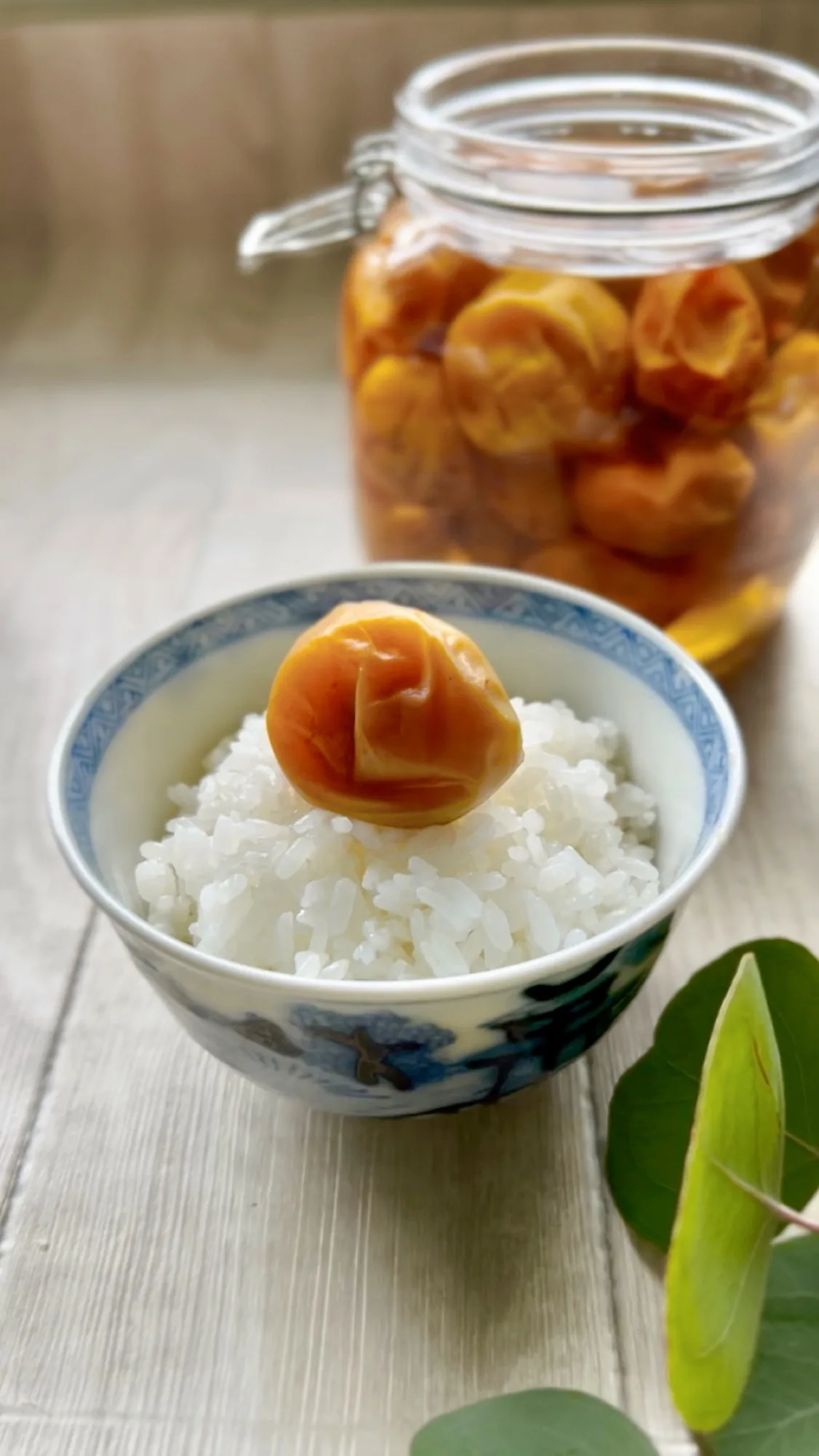 梅の瓶と、梅をひと粒のせたごはん