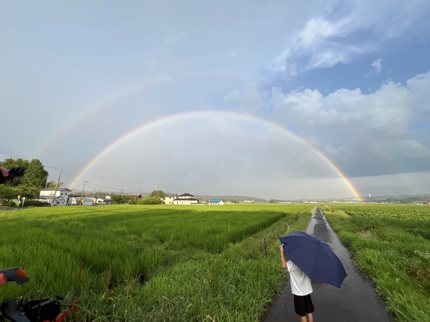田んぼの上にかかる虹と、傘を差して歩く後ろ姿